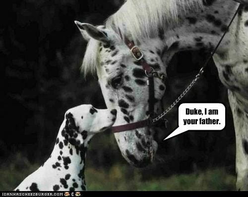 Parent Document retriever diagram